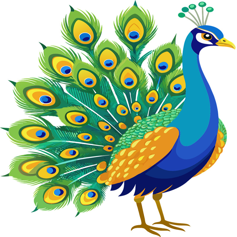 30 Custom Simple Peacock Personalized Address Labels