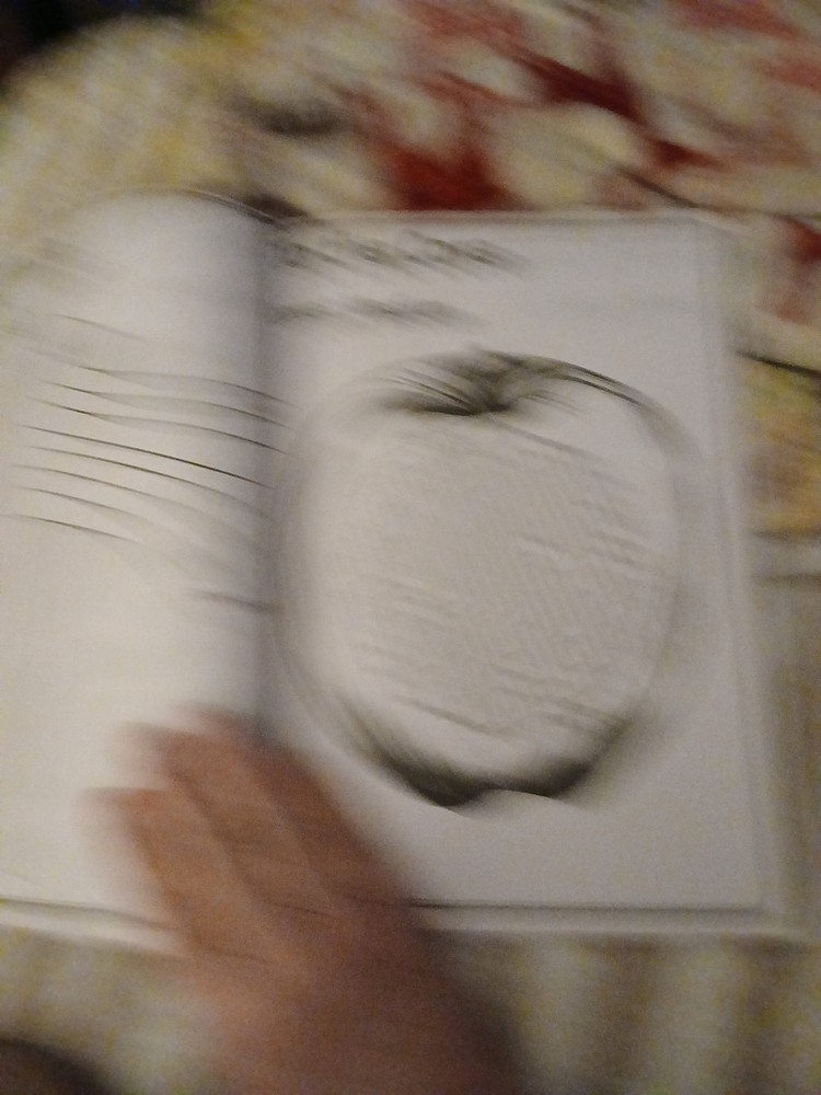 MAZE CRAZE Activity KIDS' Book