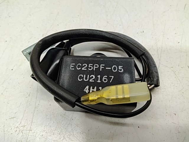 CDI Unit - 2000 Polaris NOS