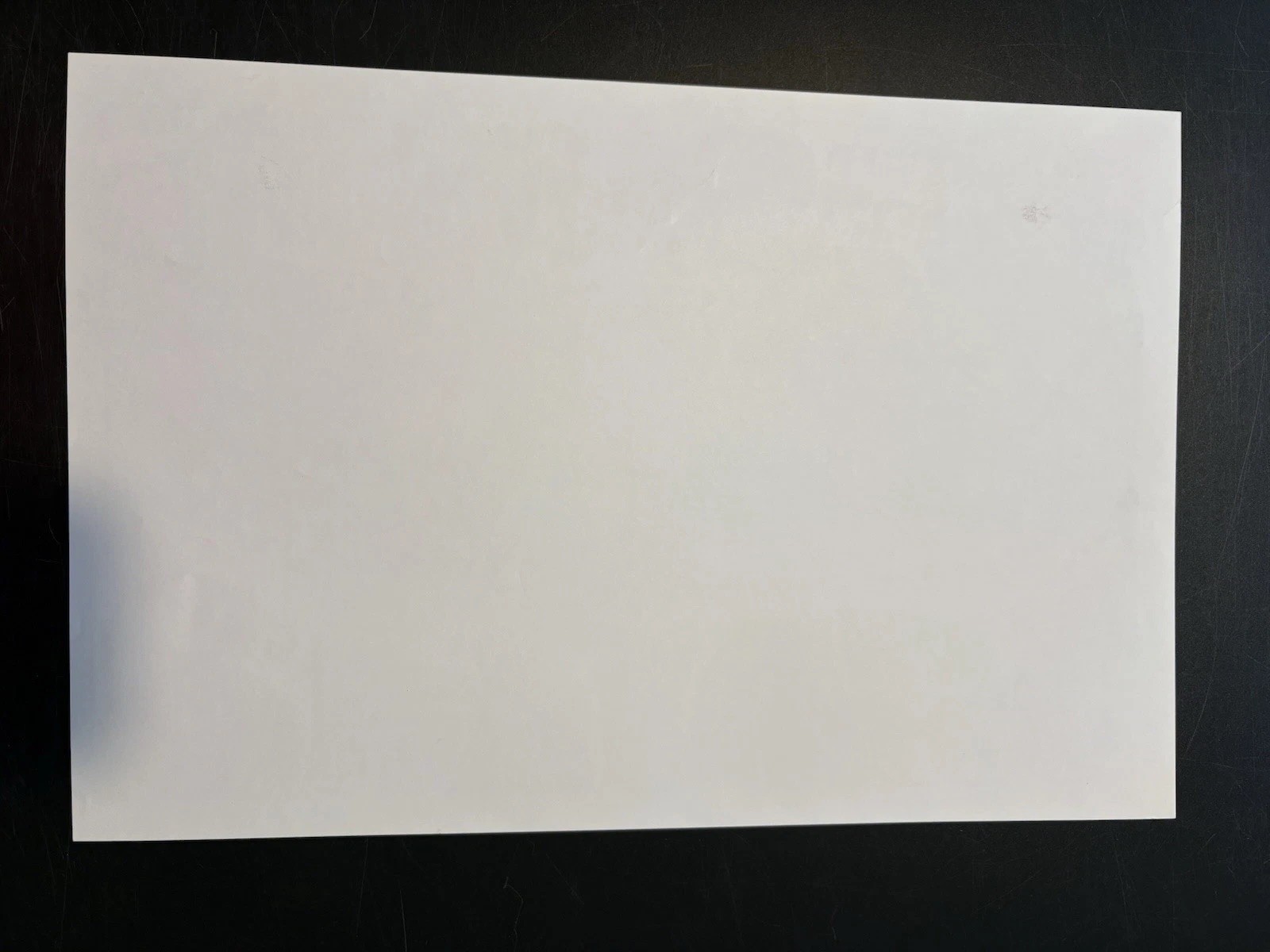 1968 CCR And Lee Michaels Earl Warren Original Concert Poster