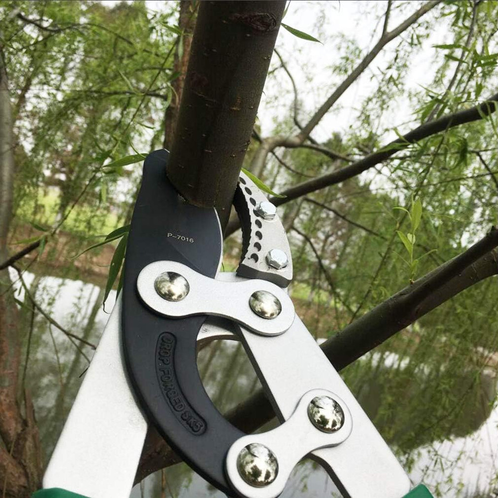 SK5 High-Performance Compound Action Anvil Lopper,Chops Thick Branches with Ease