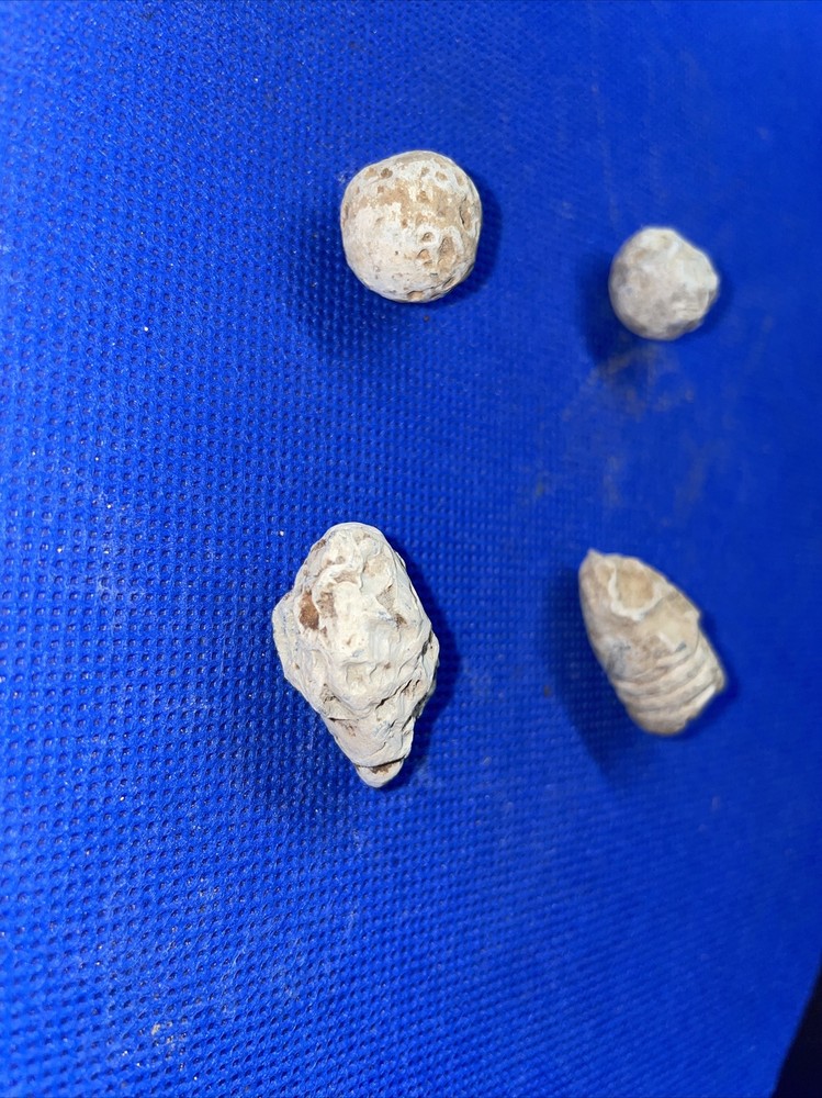 dug civil war relics