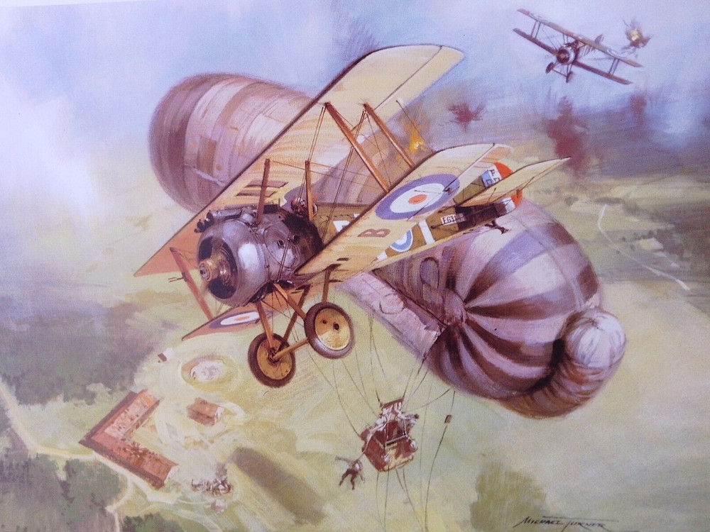 Michael Turner Aircraft print 'Sopwith Camel' FRAMED
