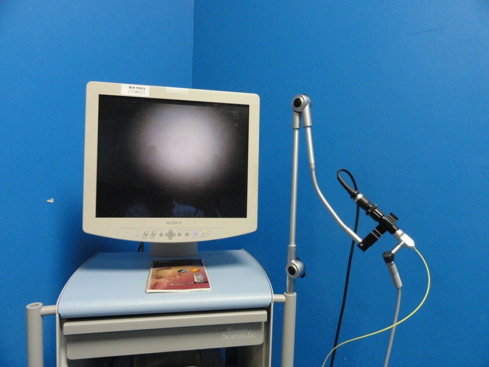 2011 Boston Scientific Spyglass Direct Visualization ~15313