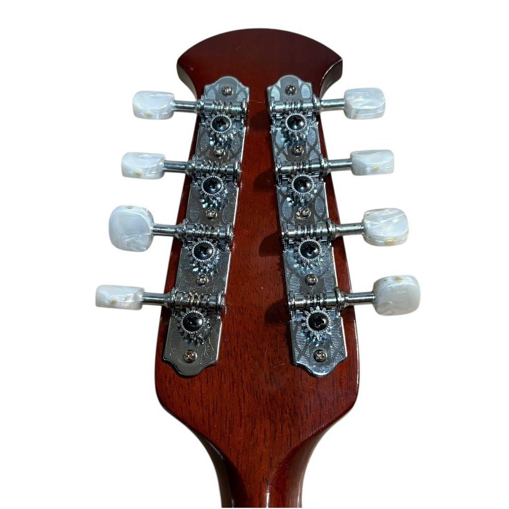 SUZUKI Mandolin M-218 with hard case