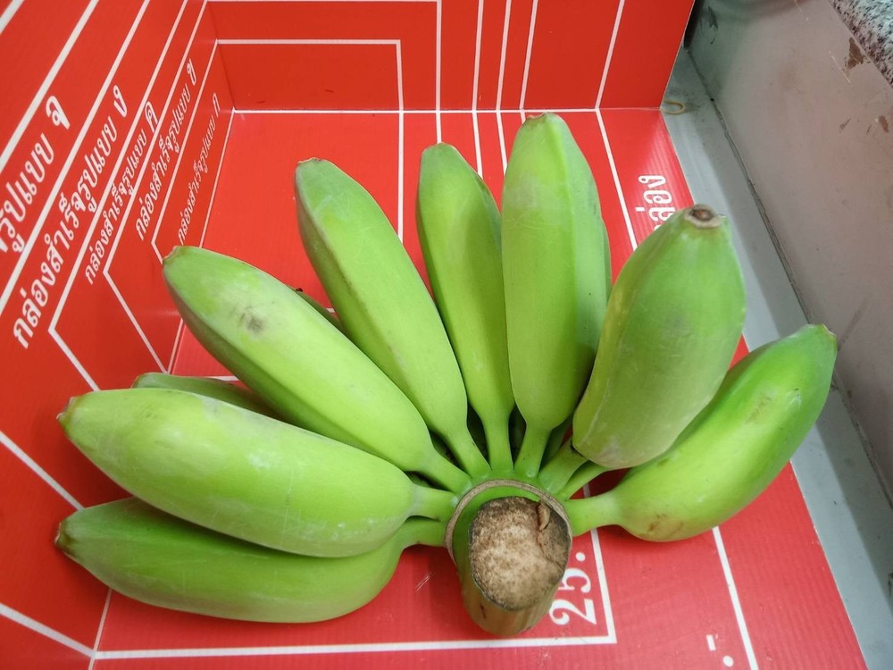 Banana Fresh