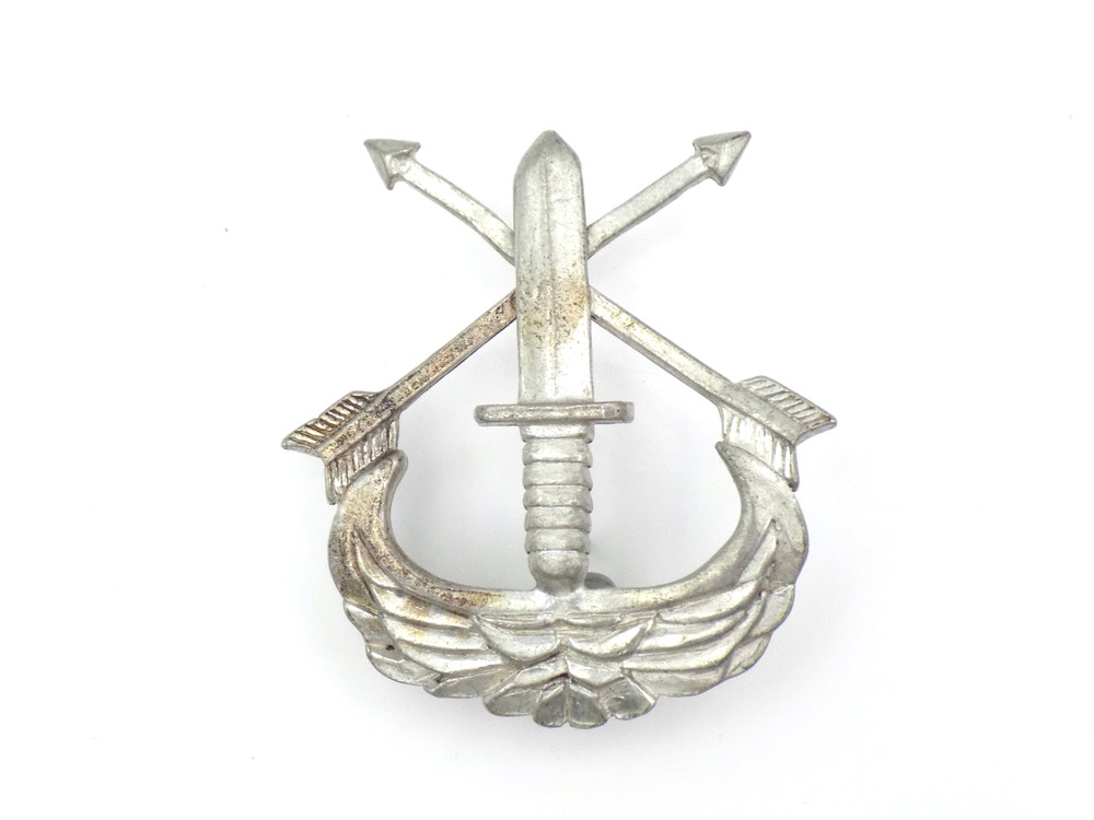Original US Army Special Forces Prototype Beret Badge