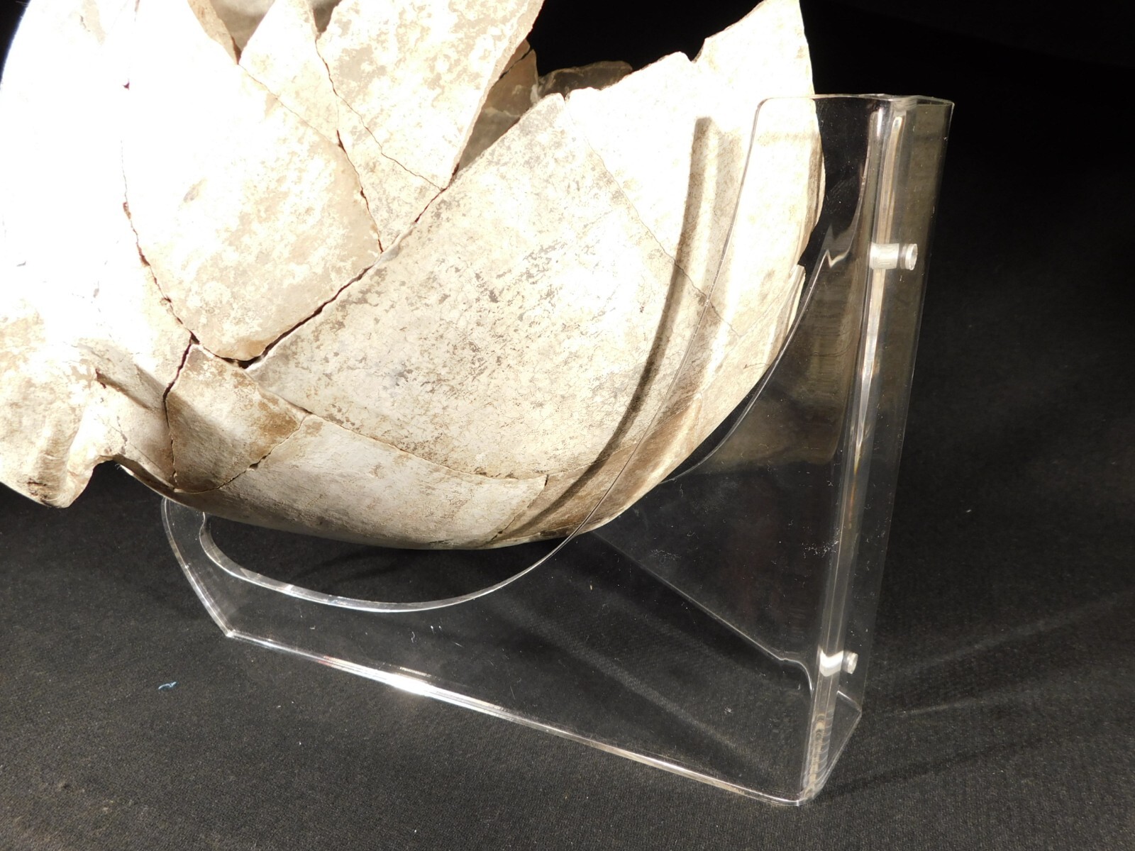 Easel Display Stand Clear Lucite X Large Size Wall Mountable