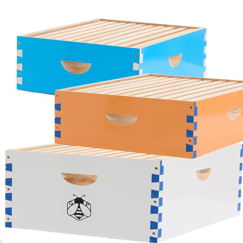 10 Frame Langstroth Bee Hive Coated Bee Painting Includes 30X Beehive Frames