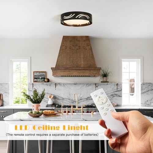 Modern Dimmable LED Ceiling Light Fixture with Remote general purpose Black