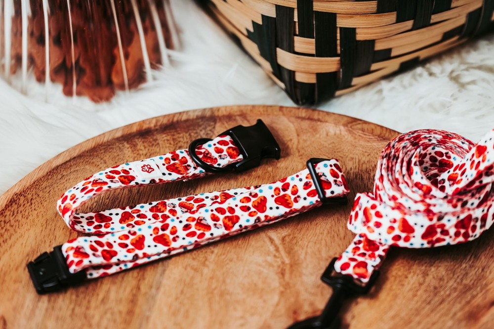 Western Paw Print Collar Large