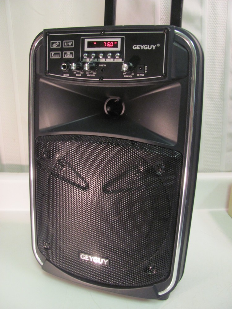 GEYGUY GTSK8-2 Bluetooth PA Karaoke Speaker Machine