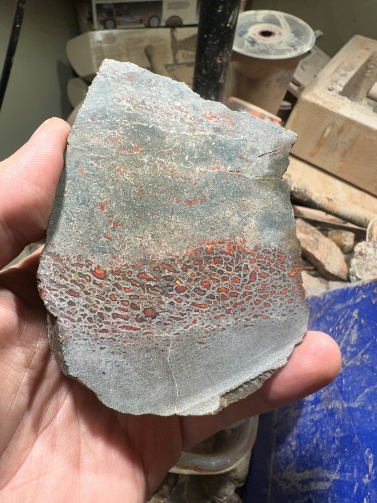 Dinosaur bone rough chunk. (344.7 grams)