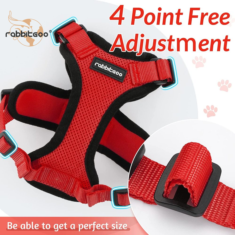 rabbitgoo Cat Harness and Leash Escape Proof Walking Vest Adjustable Reflective