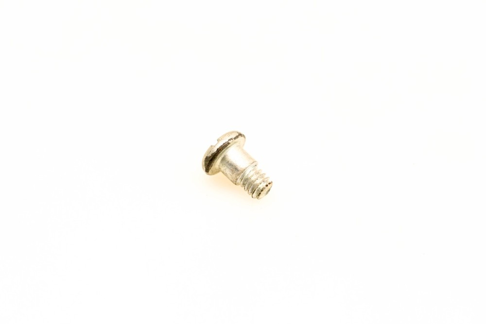 OMC 309887 Screw NOS