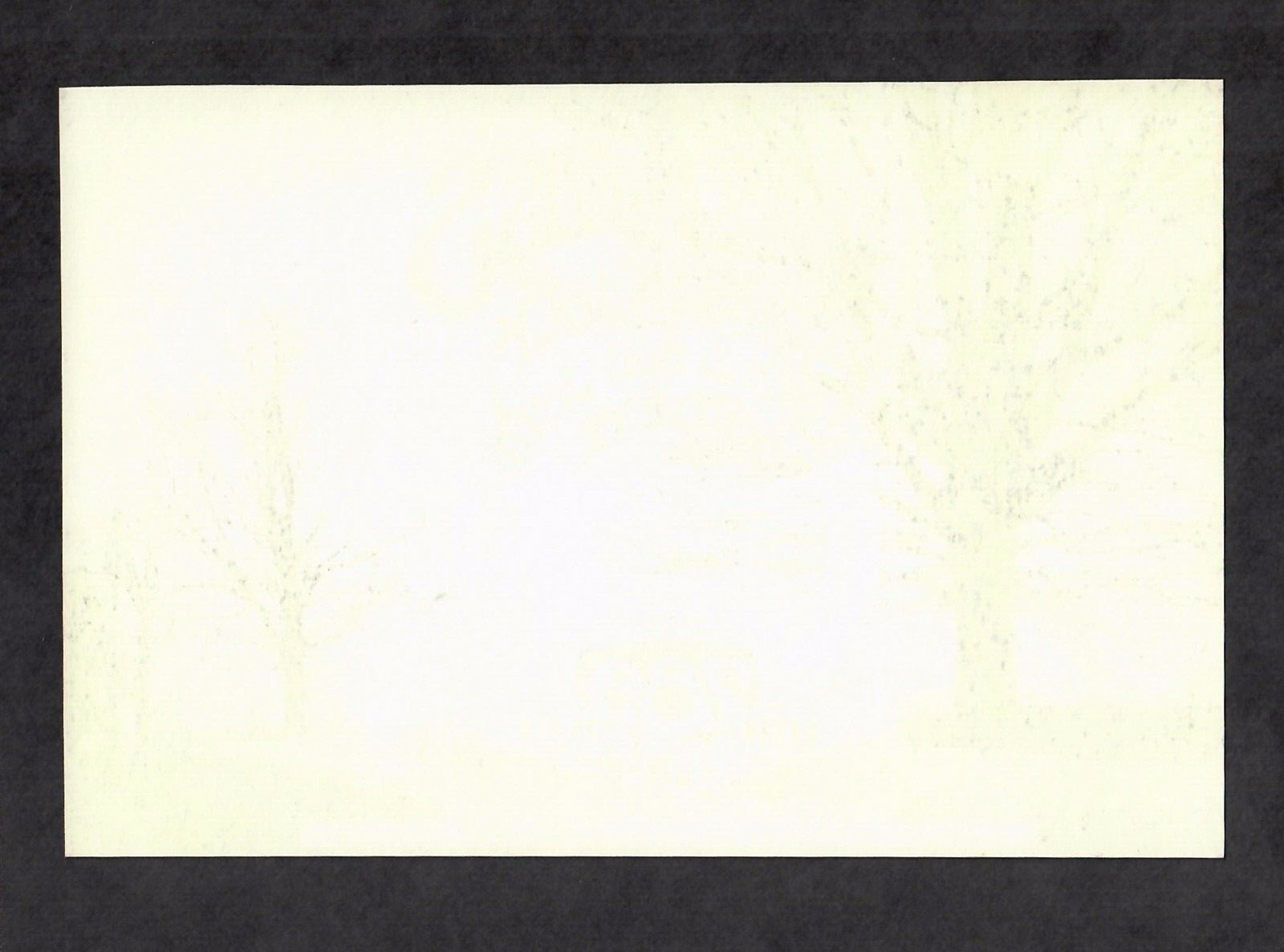 Winterland 1971 Concert Card Dave Mason Mama Cass Ballin' Jack Buffalo Bob NM+