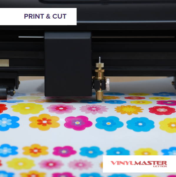 VinylMaster LTR Vinyl Cutter Software for Sign Cutters (No Disk) V5