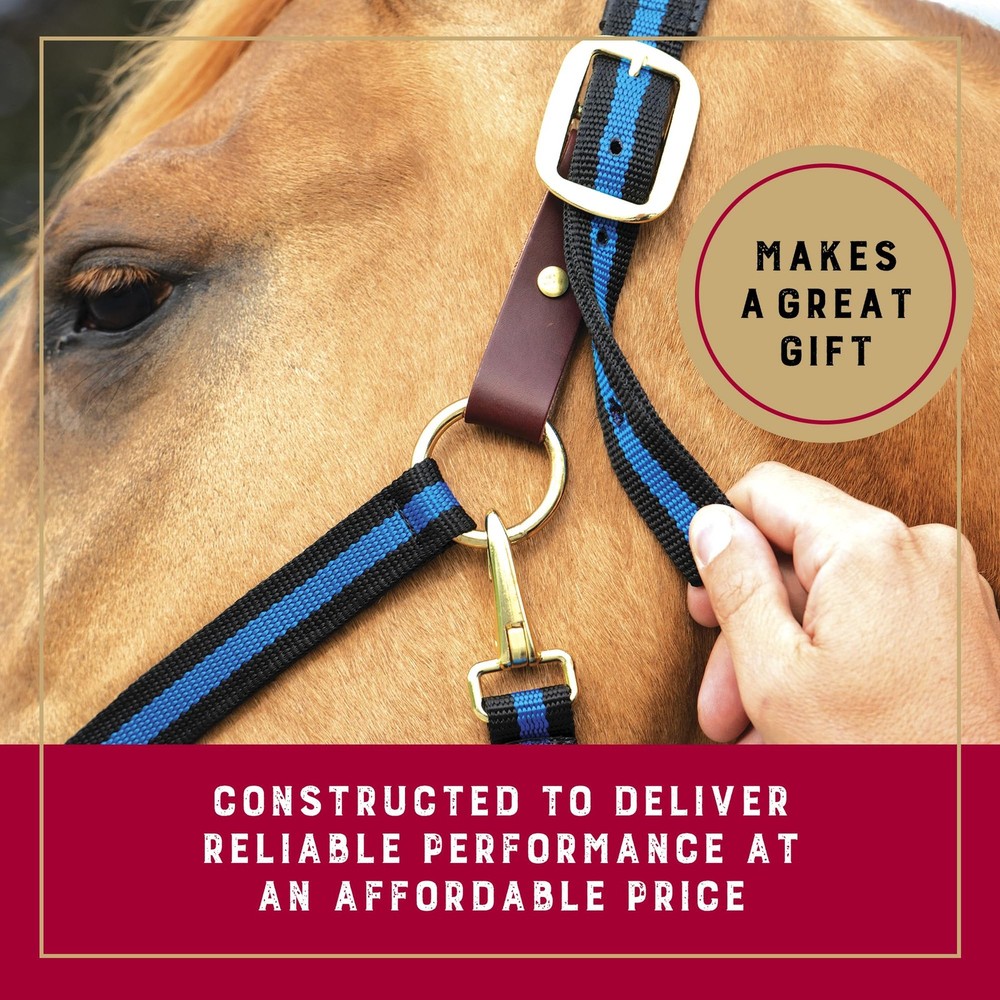 Comfort Polypropylene Breakaway Horse Halter Soft PVC Padding Yearling Draft