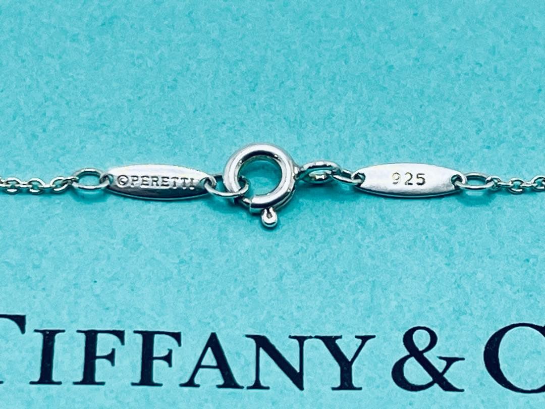 h887 Excellent condition Tiffany & Co. By the Yard diamond necklace, sterling