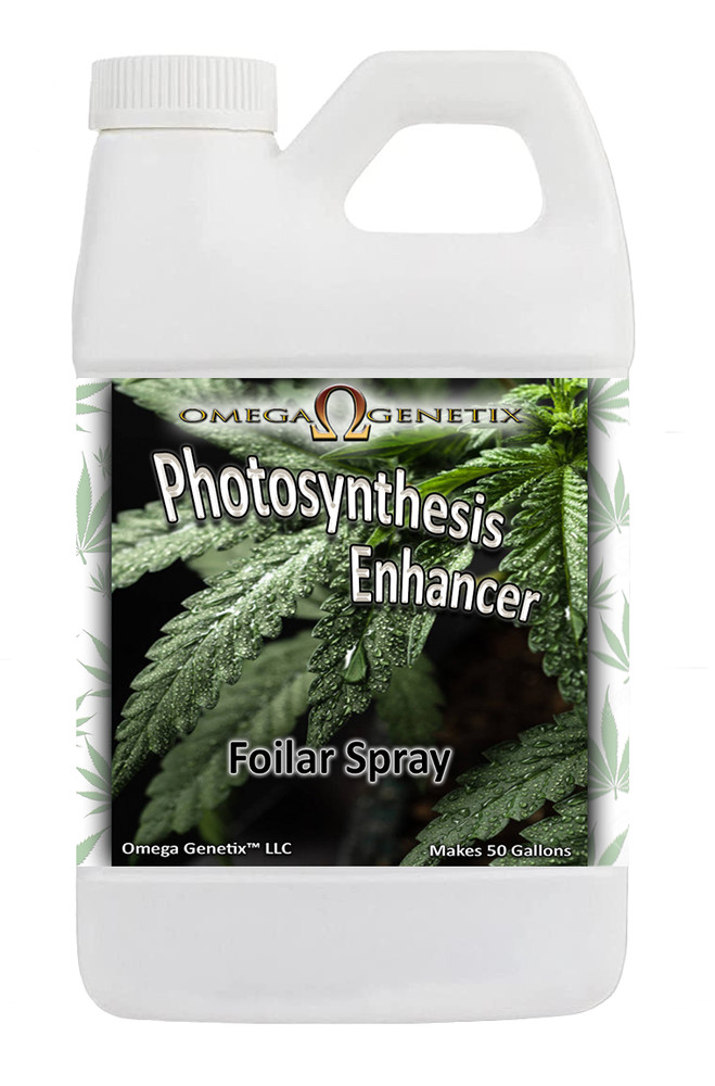 Photosynthesis Enhancer