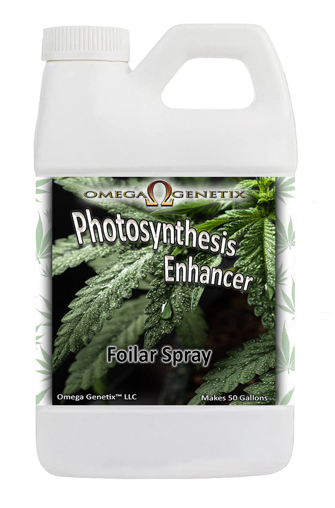 Photosynthesis Enhancer