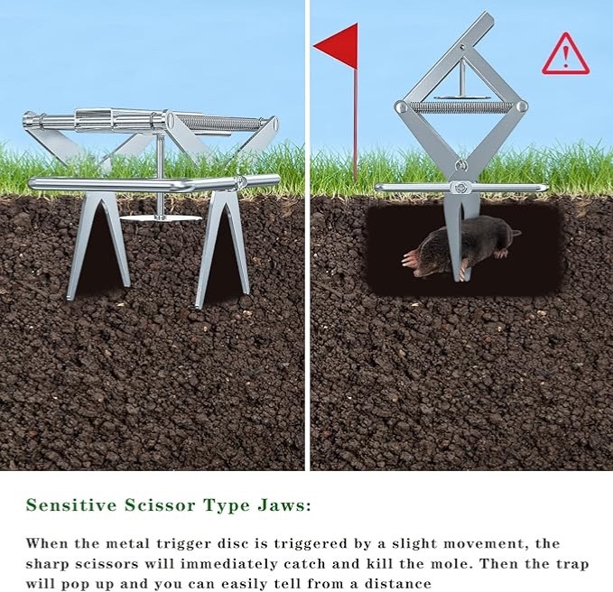Wanqueen scissor-jawed mole trap and eliminator