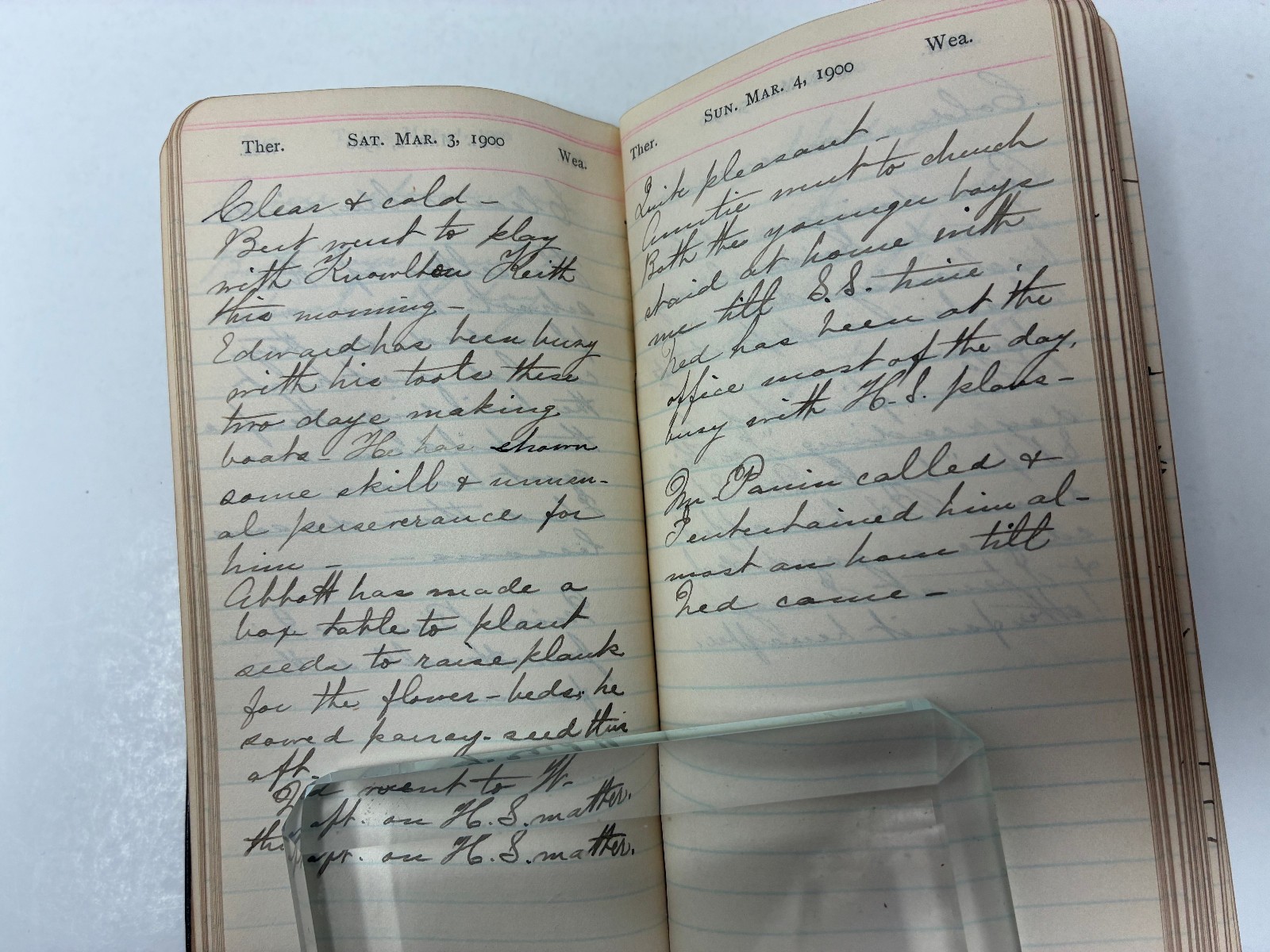 1900 Victorian Woman Wife & Mother Handwritten Diary with Her Life Memorial!