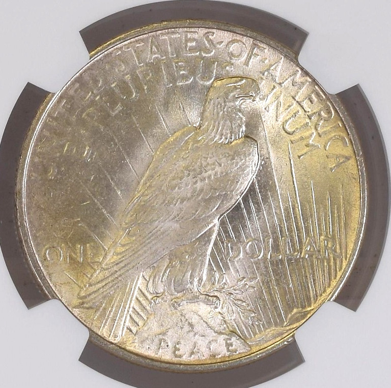 1922 PEACE DOLLAR ~ NICE UNC NGC MS64!