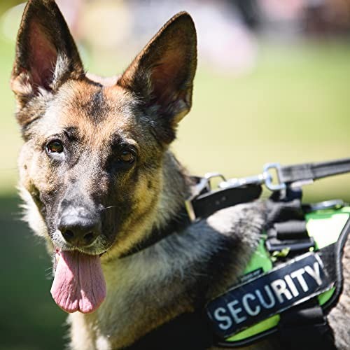 Large Embroidered Security Patches - Hook & Loop for Tactical Vests, Jackets, Ha