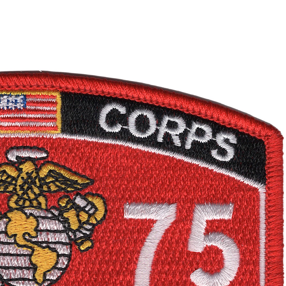 2875 Small Missile System Technician MOS Patch