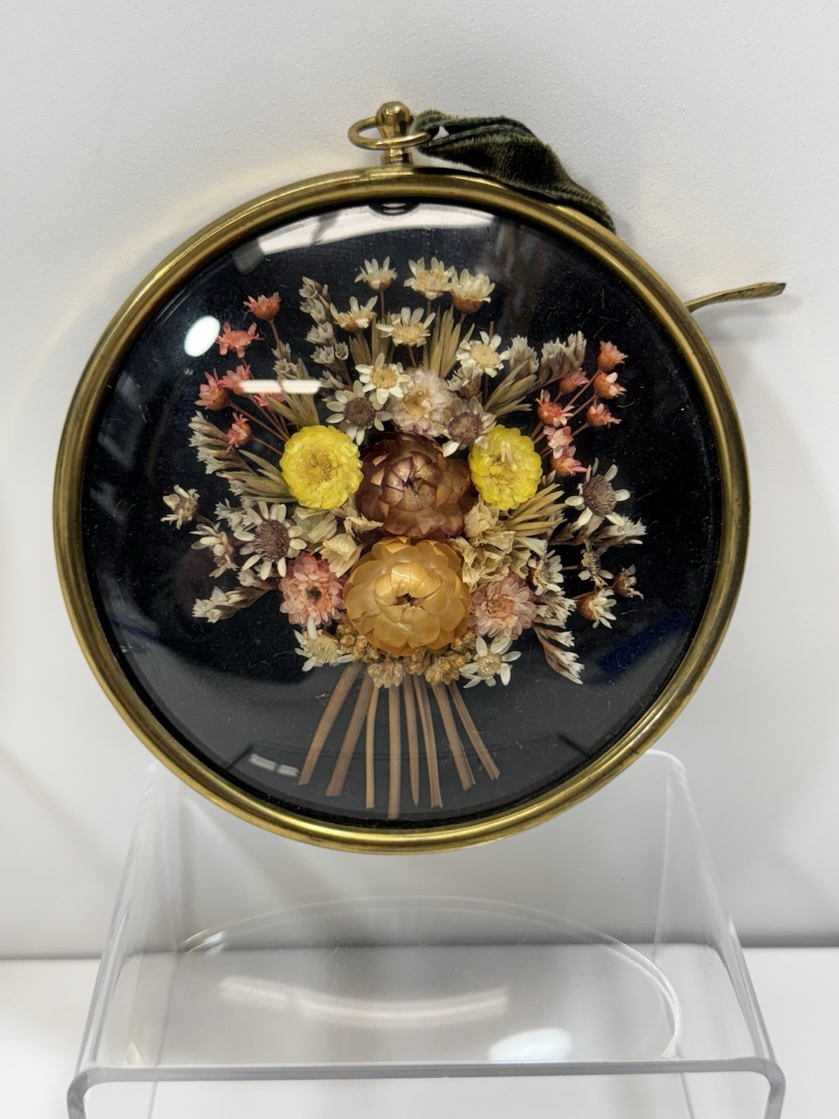 Vintage Belgium Cide Art Dried Flower Art Preserved Under Domed Glass Frame