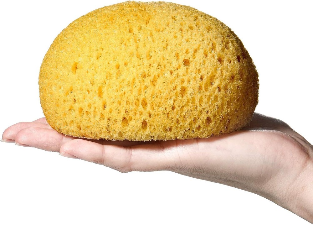 3 Pieces Knockdown Texture Sponge, Orange Peel