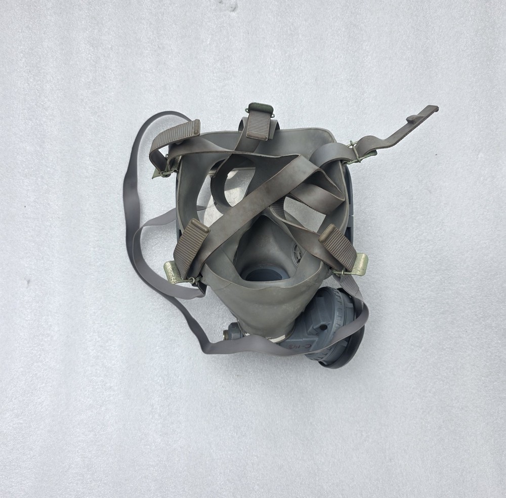 INTERSPIRO Divator Full Face Mask