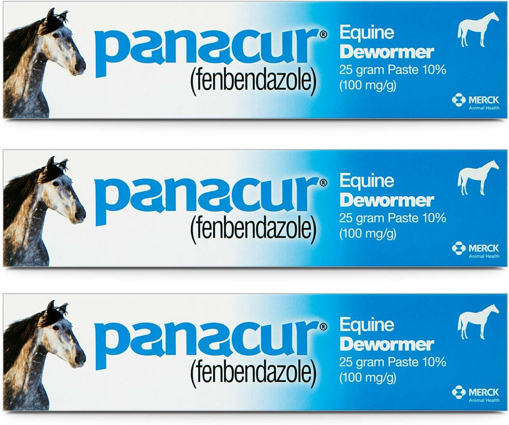 (3 Pack)  Dewormer Horse Paste 10%, 100Mg Each