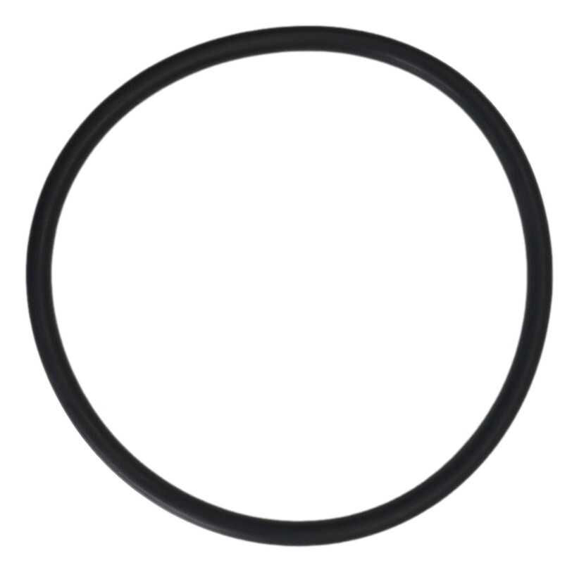 WOR-FF O-Ring for Watts Full Flow Housing