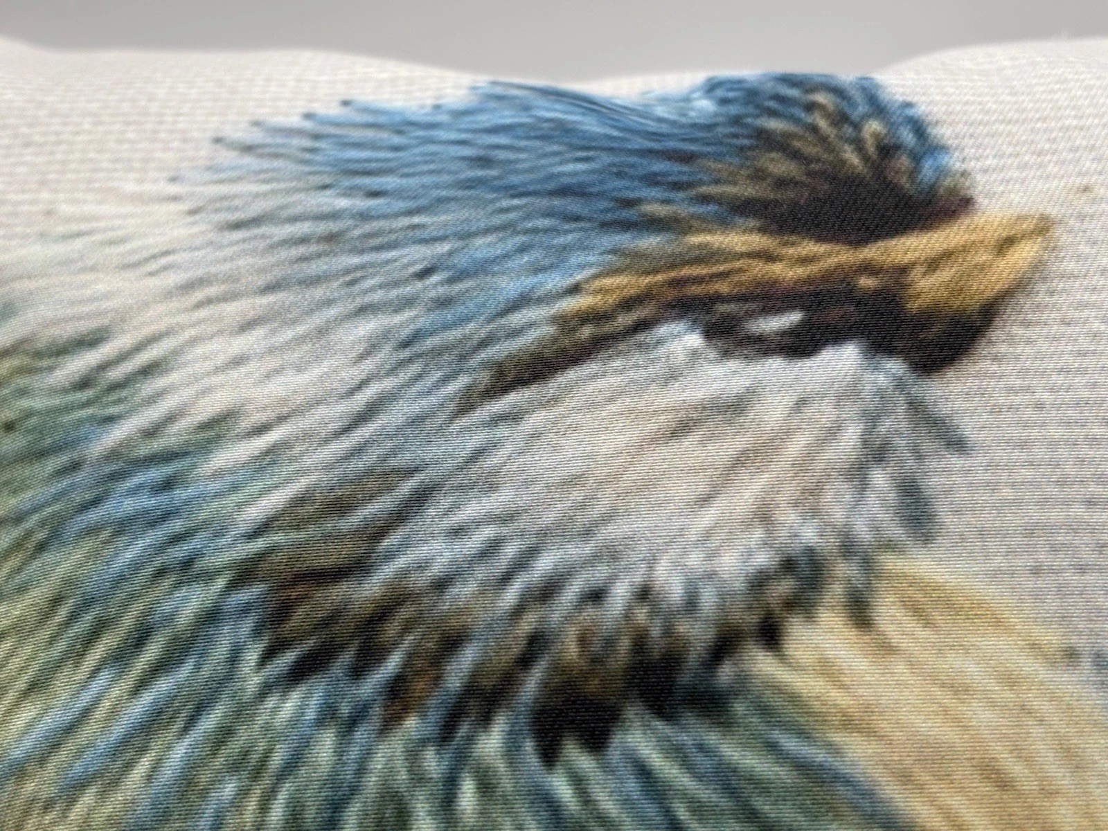 TentCraft Bird Throw Pillow Pair 14” Square Zippered Washable Covers Inserts