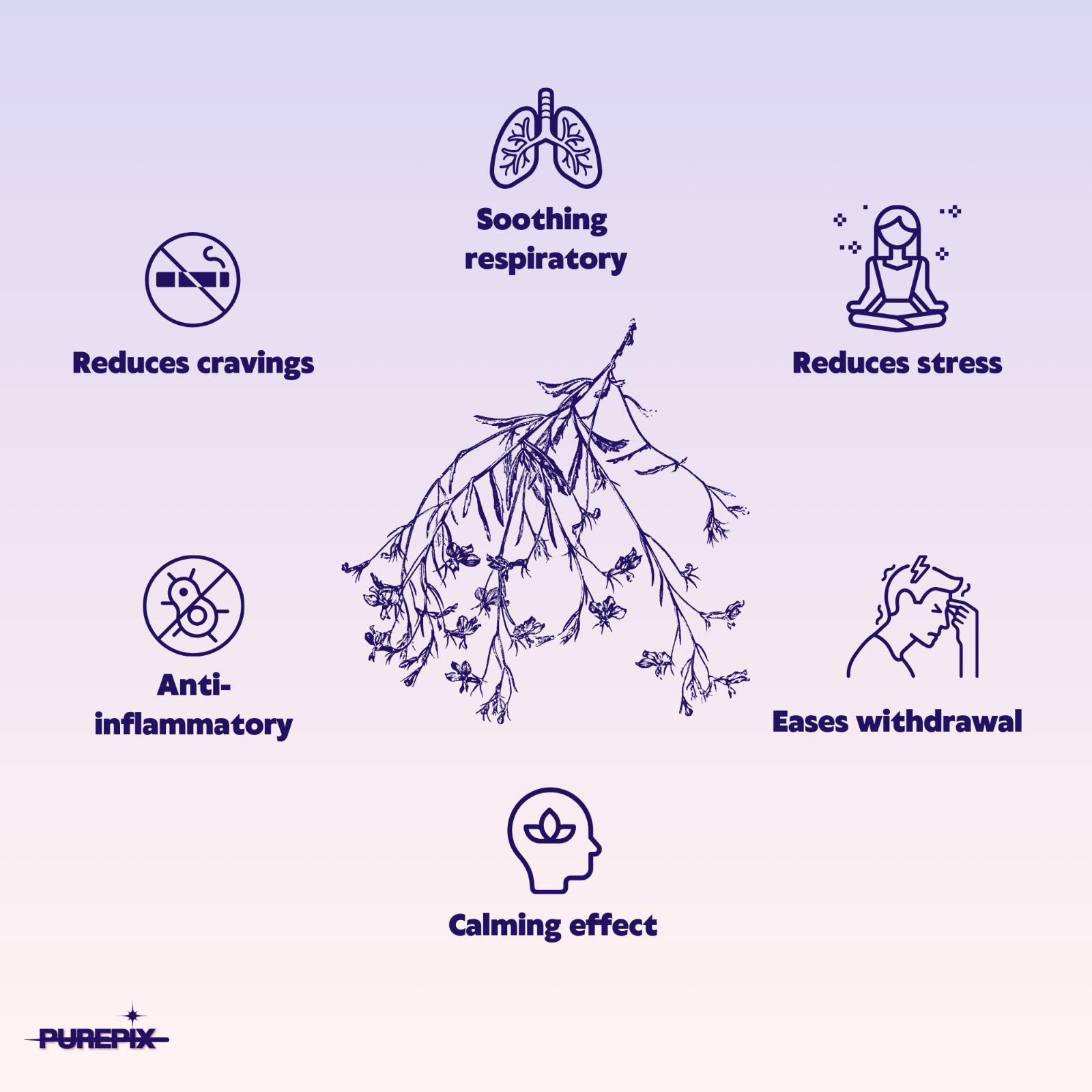 Quit Smoking Aid Premium Extra Thick Boosting Flavored Toothpicks with Lobelia