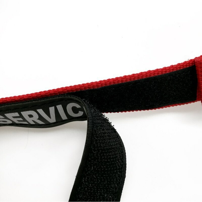 SERVICE DOG Collar Harness with Handle and Reflective Patches + 3 Free ADA Cards