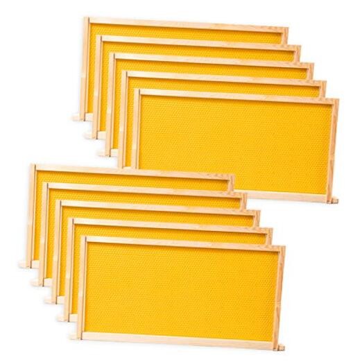10 Pack Beehive Frames and Wax Foundations for Deep Brood Bee Hives with