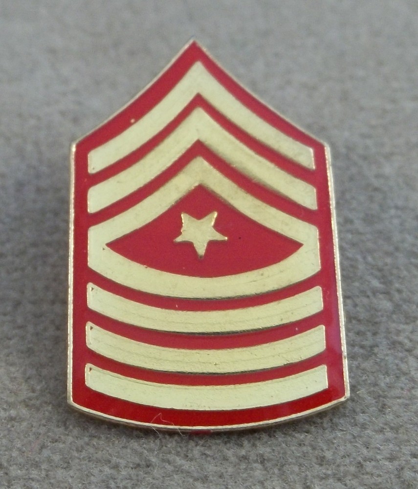 US Marine Corps Sergeant Major E-9 Pin  - Clutchback