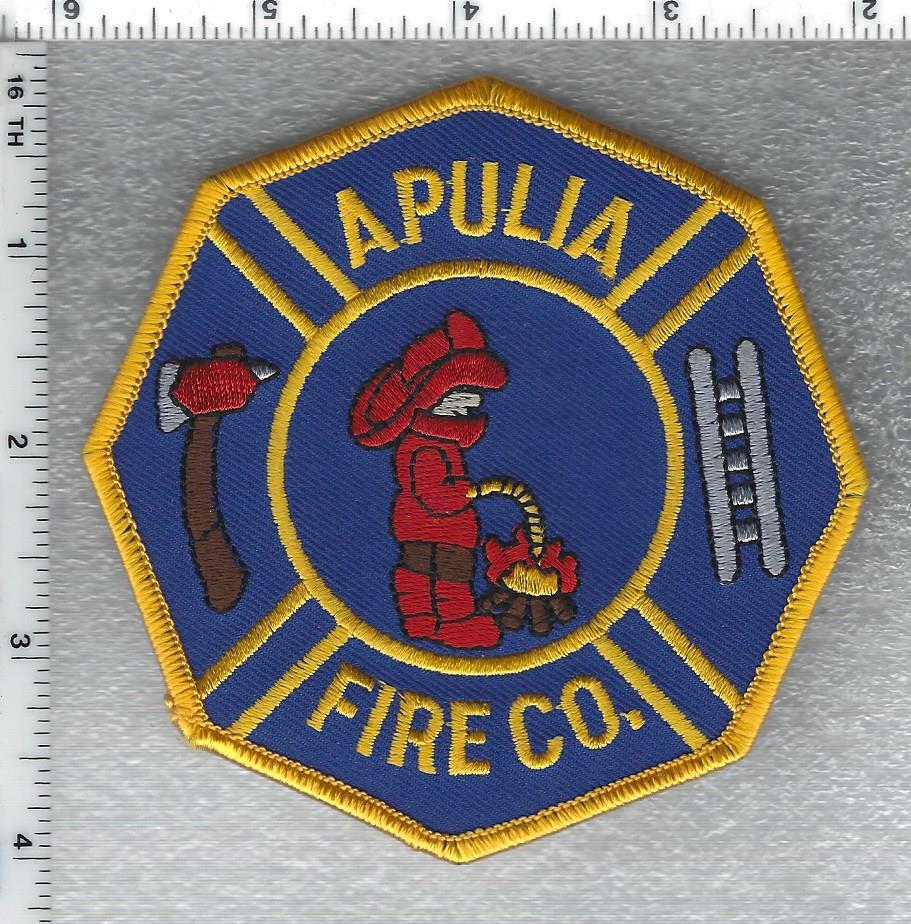 Apulia Fire Company (New York) Shoulder Patch