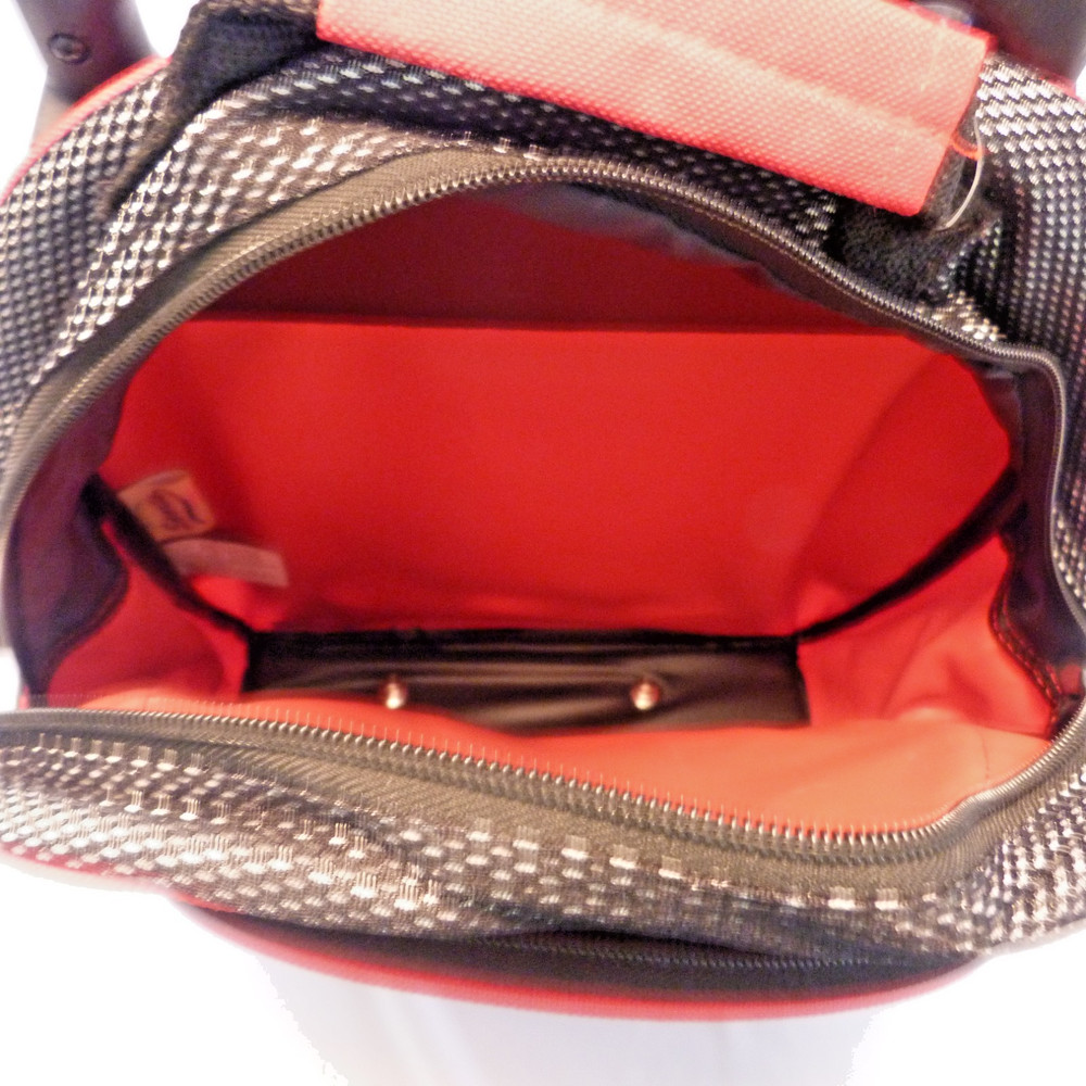 Small Ohio State Collapsible Backpack With Wheels
