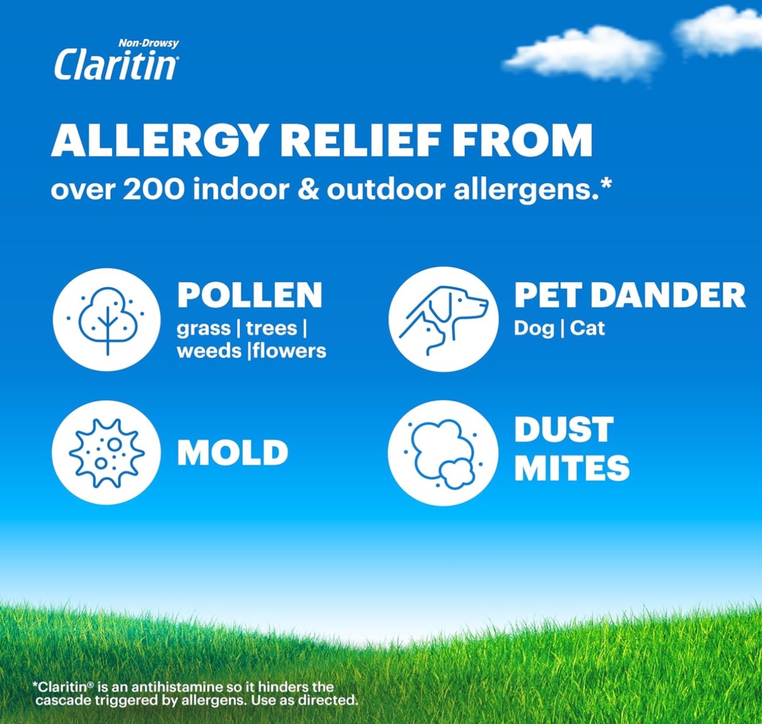 Claritin Allergy 24 Hour Non-Drowsy 115 Tablets Loratadine Expires 11/2027