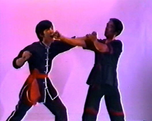 DVD - Authentic Wing Tsun by Dr. Leung Ting