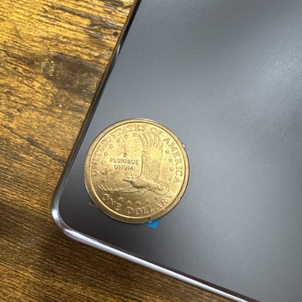2000 sacagawea dollar (rare)