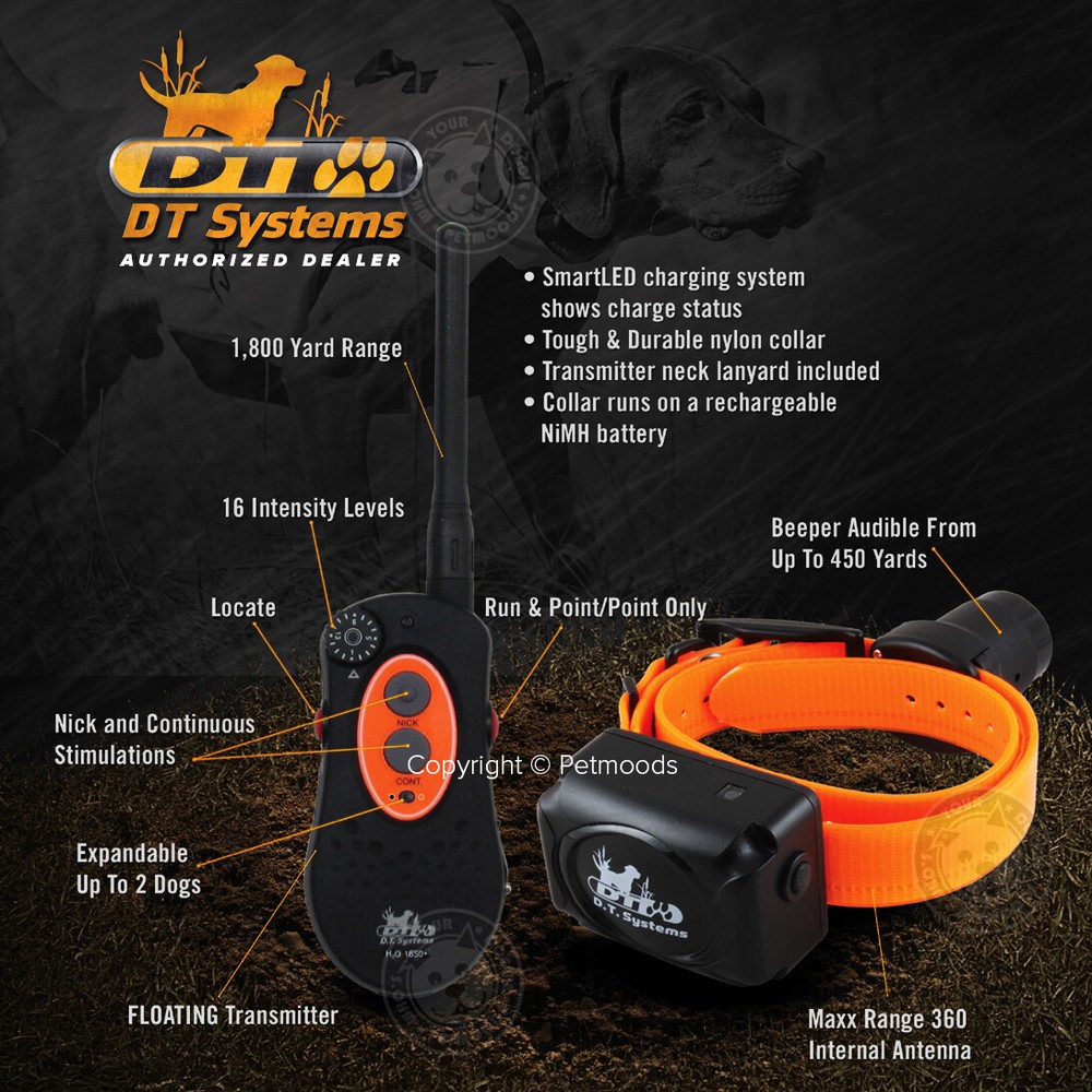 DT Systems H2O 1850 PLUS Remote Dog Trainer Beeper