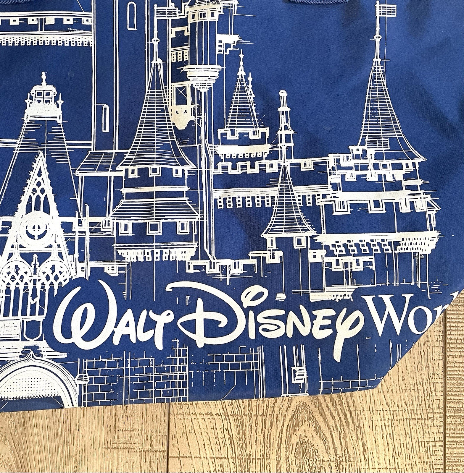 Walt Disney World Castle Blue Insulated Cooler Tote Bag