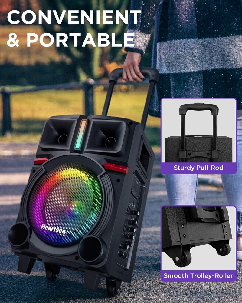 Karaoke Machine with 2 Wireless Microphones & Bluetooth Speaker