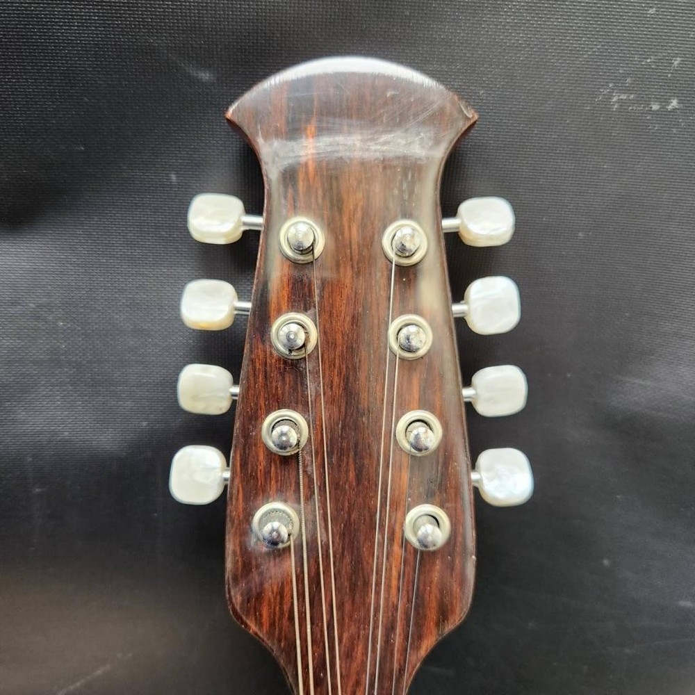 Suzuki violin mandolin M-218 with case