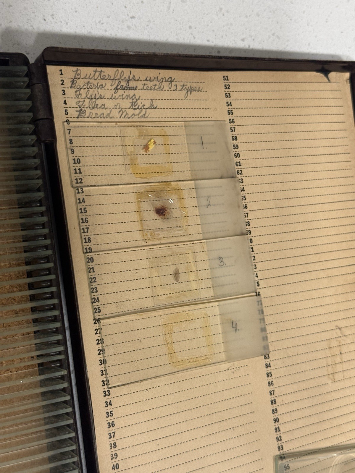 Microslides Glass Microscope Slides Scientific Box Vintage Doctor Memorabilia